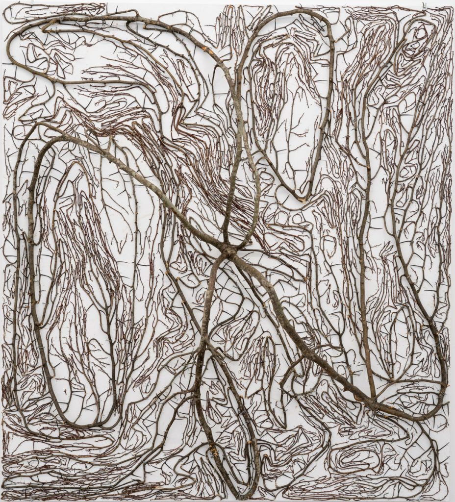 2D Tree (4), 2017, 160 x 145 x 41, hawthorn, staples, nails, plywood, glue