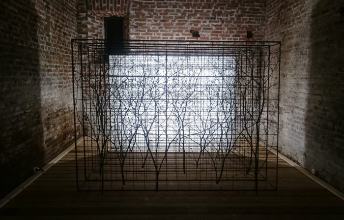 Grid Garden, 2017, installation, 2m x 2,6m x 2,4m
