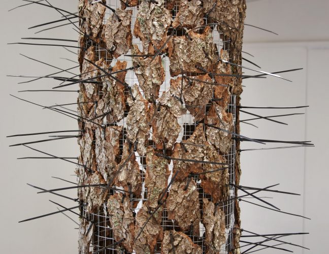 Forest Composition, 2009, installation; chicken wire, bark, cable tie
