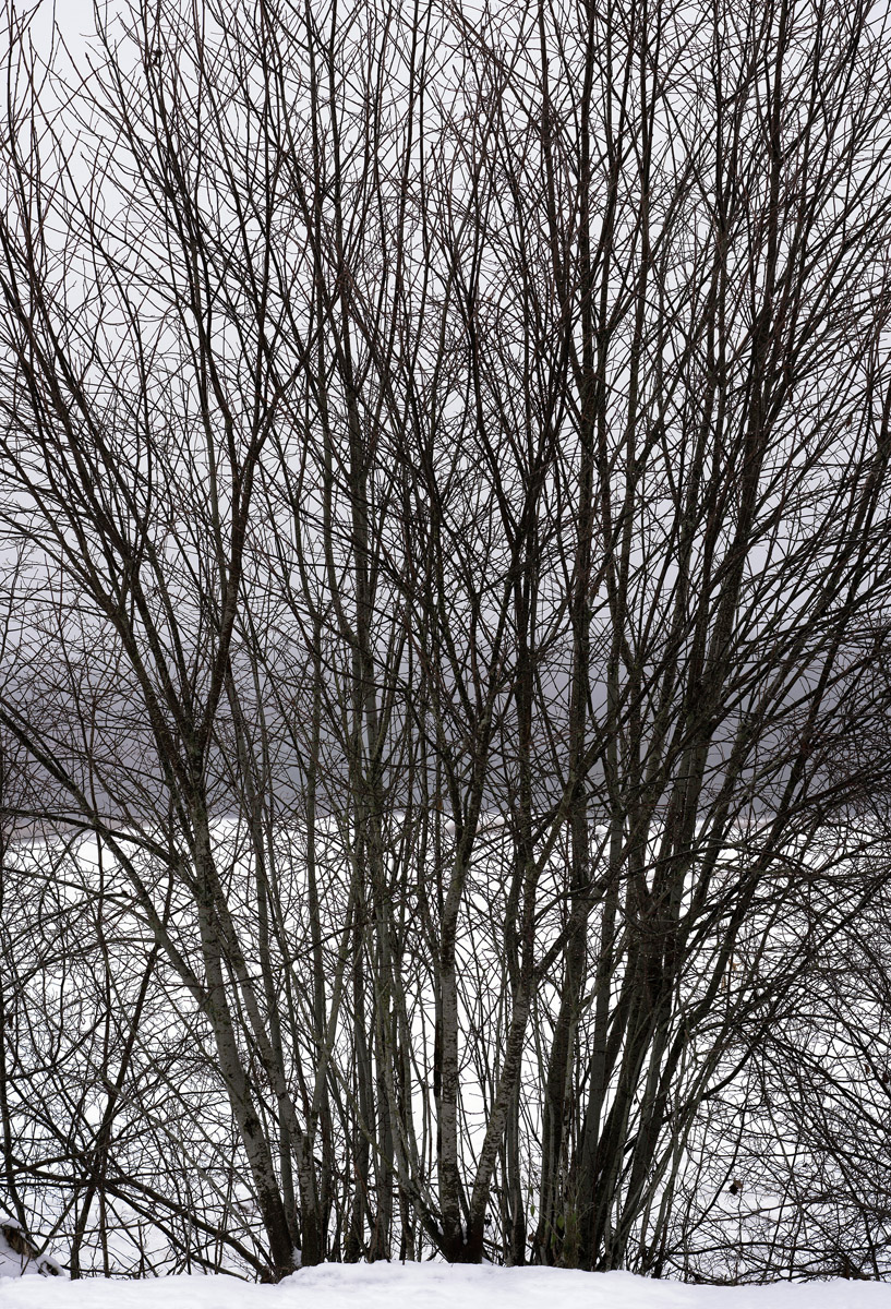 untitled, 2017, 74 x 50 cm, pigment print, Diasec