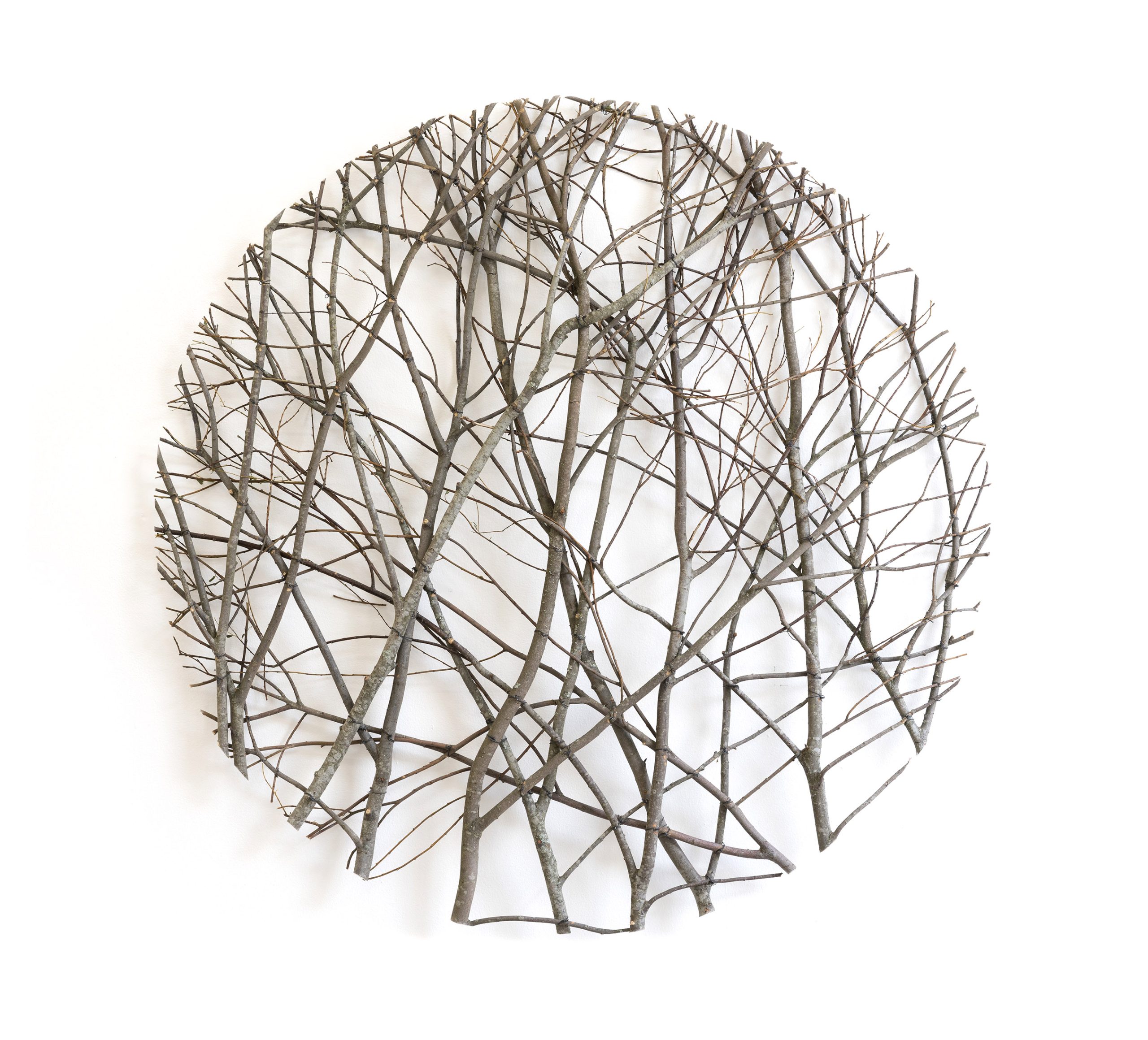 Willow Piece, 2020, 133 x 133 x 11 cm, willow, steel wire